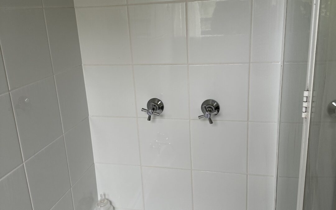 Loose tiles discovered during home renovation